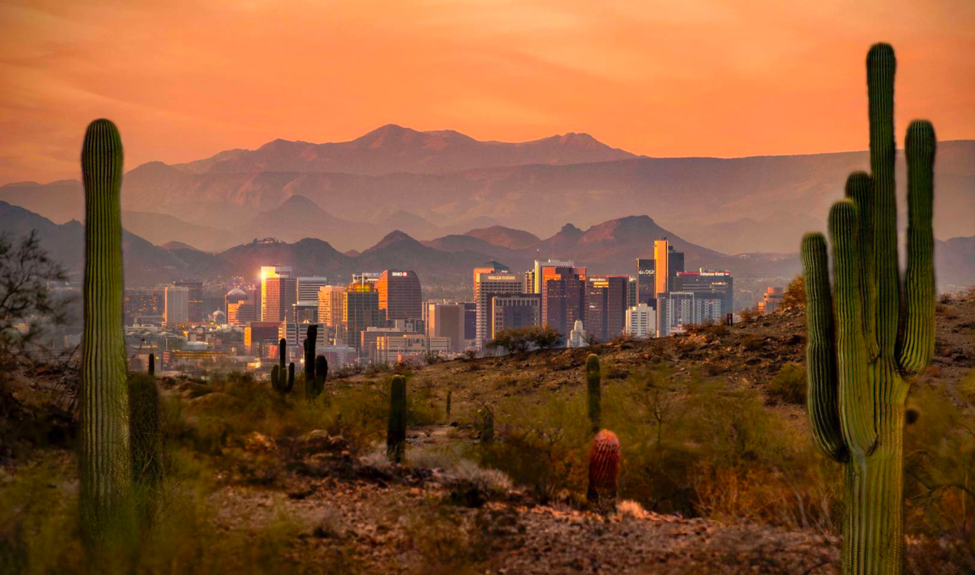 Phoenix rental property management